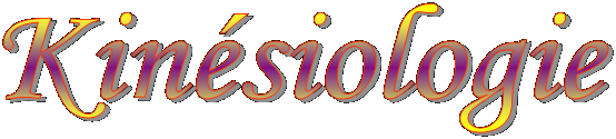 Kin�siologie